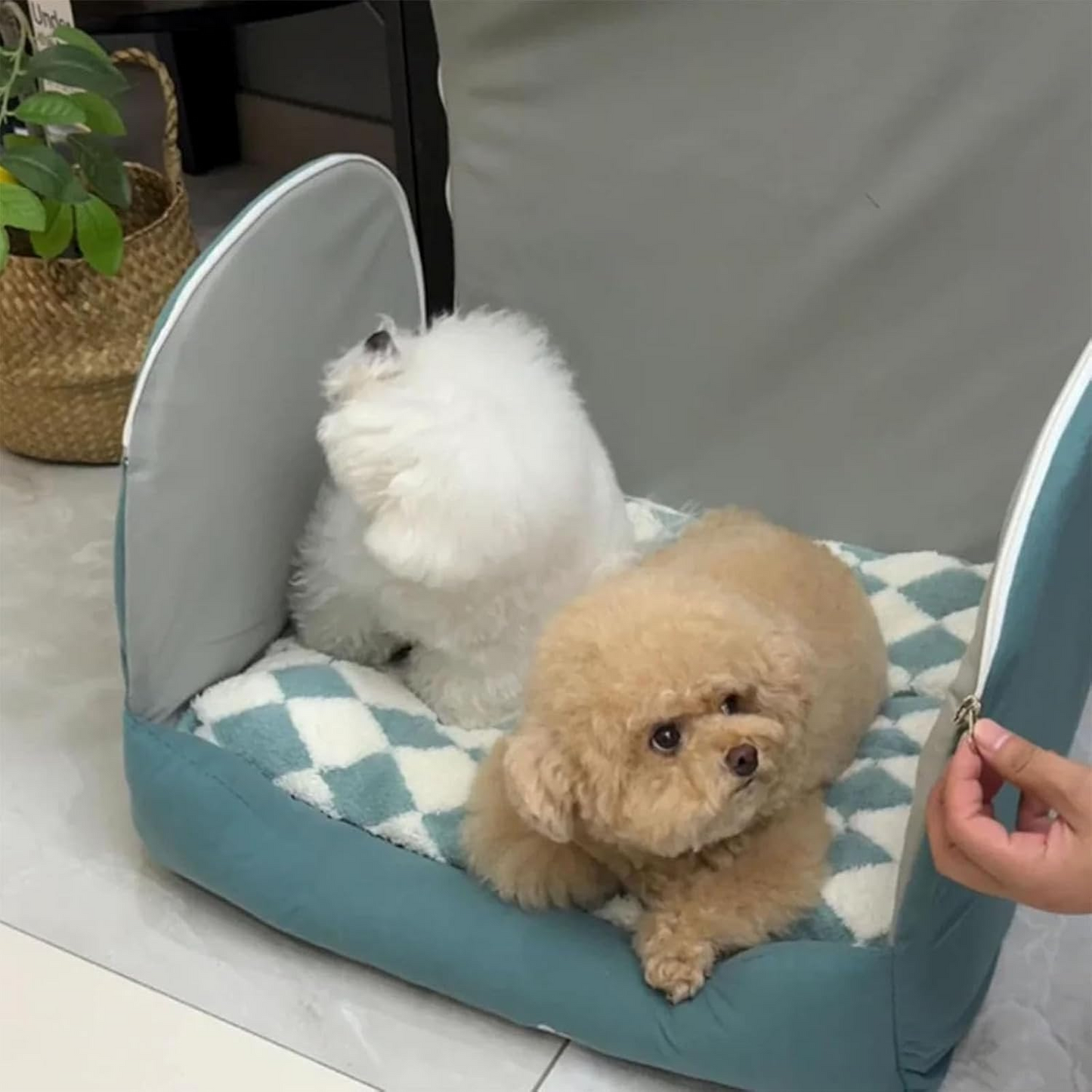 Cuccia per gatti e cani piccola taglia